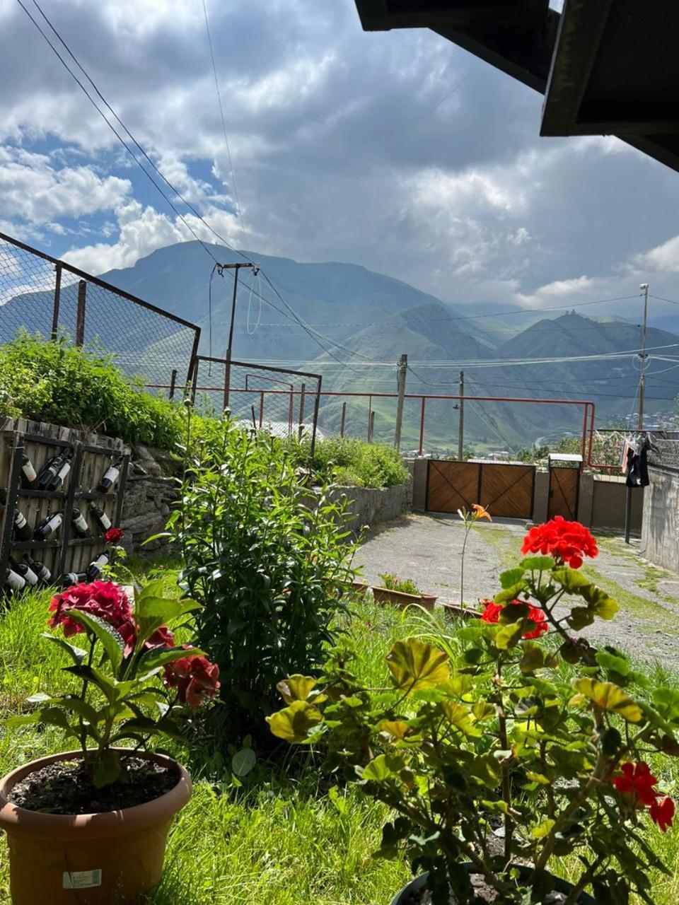 Guesthouse Relax In Kazbegi Exteriér fotografie