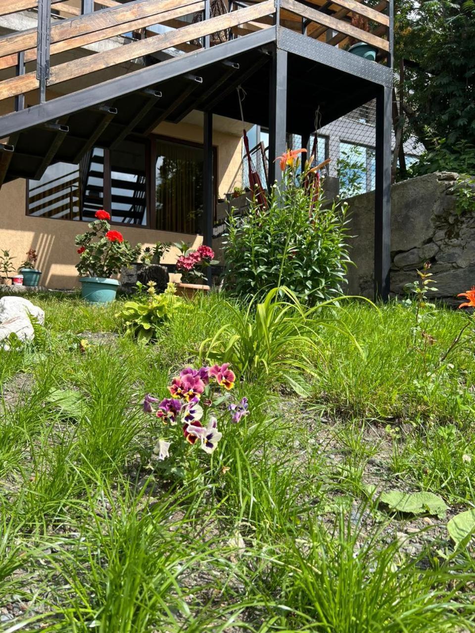 Guesthouse Relax In Kazbegi Exteriér fotografie